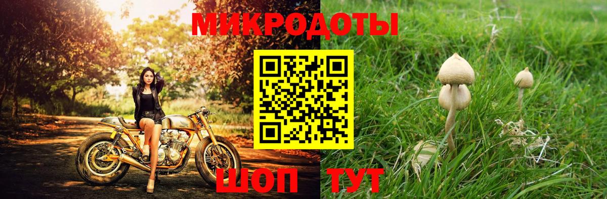 Псилоцибиновые грибы прущие грибы Калач-на-Дону