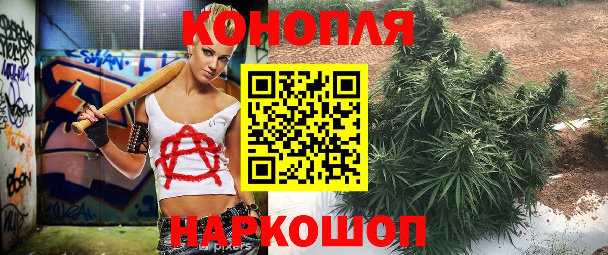 Марихуана конопля  Конопля план  Вход с VPN  Калач-на-Дону  Конопля AK-47 